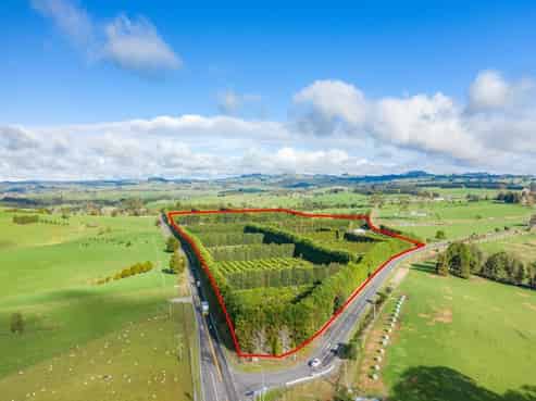 908 Te Ahu Ahu Road, Kerikeri