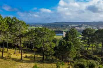 94 and 94a Coatesville Heights, Coatesville