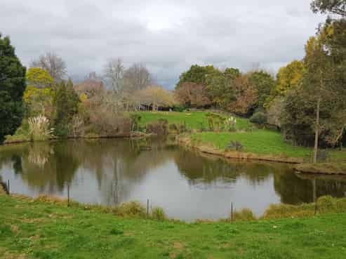 3668 Cambridge Road, Cambridge