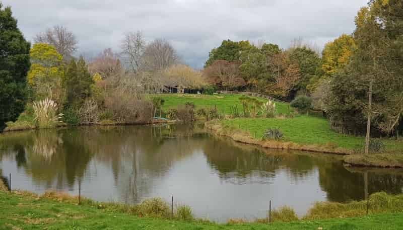 3668 Cambridge Road, Cambridge