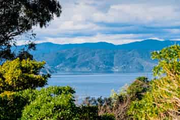 178A Barnard Street, Wadestown