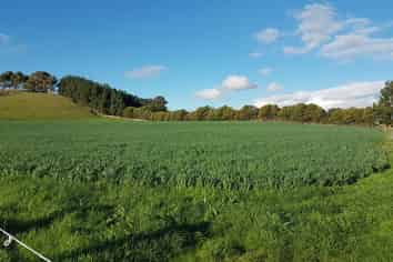 654 Cowper Road, Dannevirke