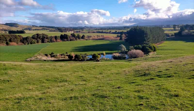 654 Cowper Road, Dannevirke