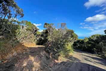 14 La Trobe Track, Karekare