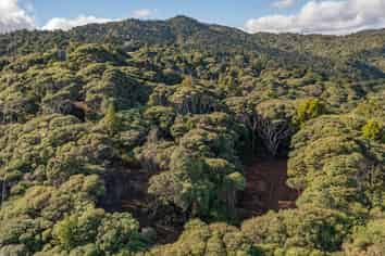 14 La Trobe Track, Karekare