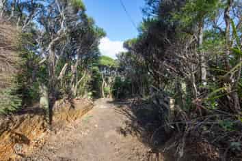 14 La Trobe Track, Karekare