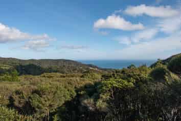 14 La Trobe Track, Karekare