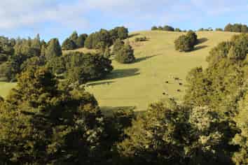 263 Bartlett Road, Whangarei Surrounds