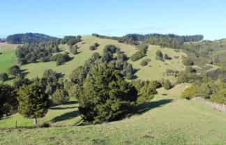 263 Bartlett Road, Whangarei Surrounds