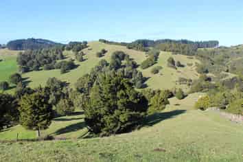 263 Bartlett Road, Whangarei Surrounds