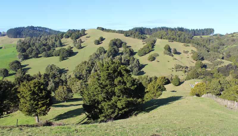 263 Bartlett Road, Whangarei Surrounds