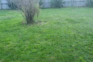 1b Westland Road, Tuakau