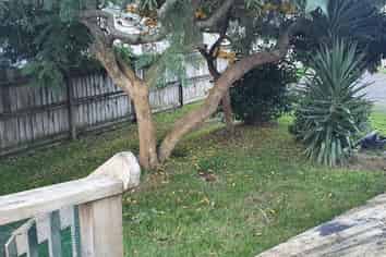 1b Westland Road, Tuakau