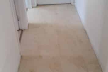 1B Hunter Street, Hamilton Lake