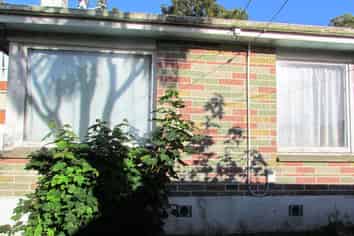 116 Queen Street, North Dunedin