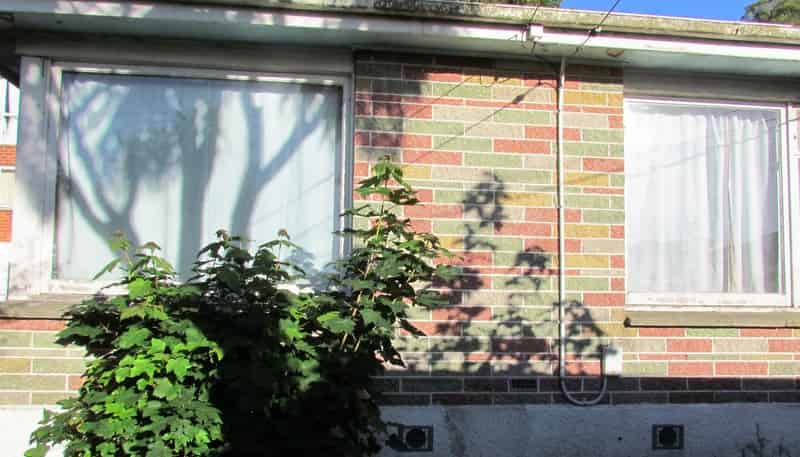 116 Queen Street, North Dunedin