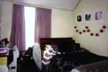 45 Howe Street, North Dunedin