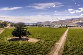 Lot 335 Wooing Tree Estate, Cromwell