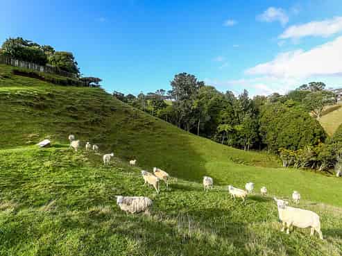 5 Byron Place, Whalers Gate