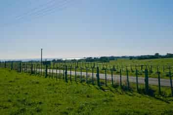 Lot 2 Hoani Road, Okato