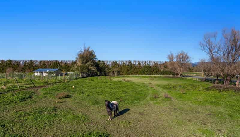  Duke Street/Stewart Street, Opotiki and Surrounds