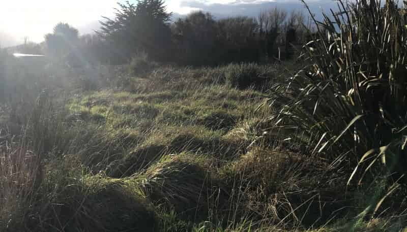 12 Church Street, Riverton