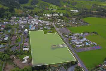  Pyrus grove, Matakana