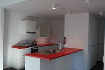 24/25 Alva Street, Dunedin Central