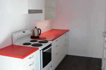 24/25 Alva Street, Dunedin Central