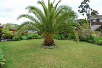 Auckland - Address withheld