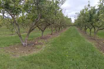 344 Drury Hills Road, Drury