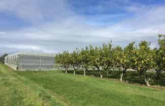 344 Drury Hills Road, Drury