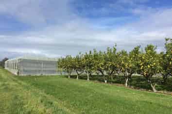 344 Drury Hills Road, Drury