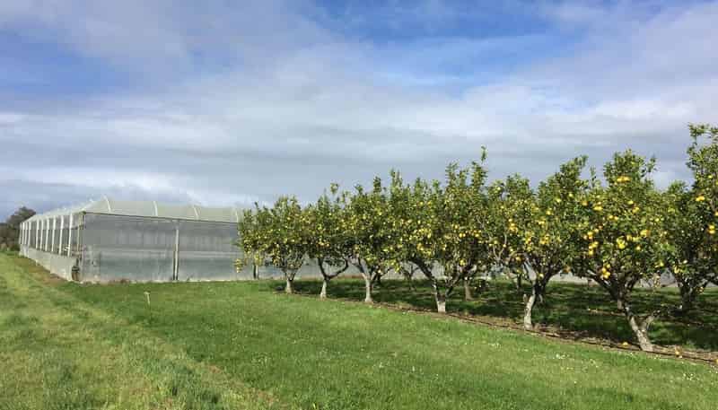 344 Drury Hills Road, Drury