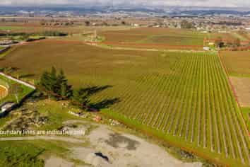  Premium Vineyard Portfolio, Blenheim Central