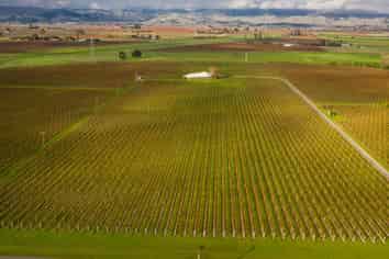  Premium Vineyard Portfolio, Blenheim Central