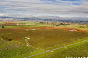  Premium Vineyard Portfolio, Blenheim Central