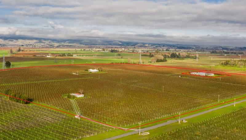  Premium Vineyard Portfolio, Blenheim Central