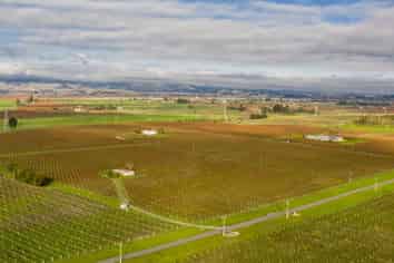  Premium Vineyard Portfolio, Blenheim Central
