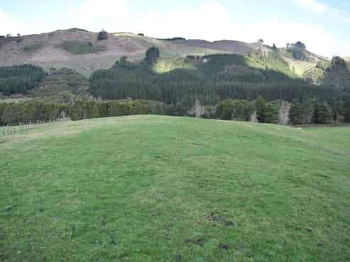 73 Dansey Road, Ngongotaha