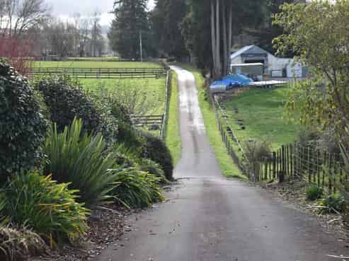 73 Dansey Road, Ngongotaha