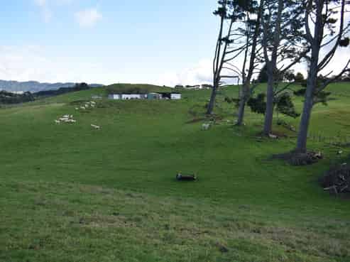 73 Dansey Road, Ngongotaha