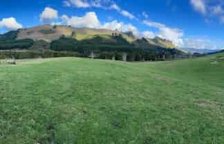 73 Dansey Road, Ngongotaha