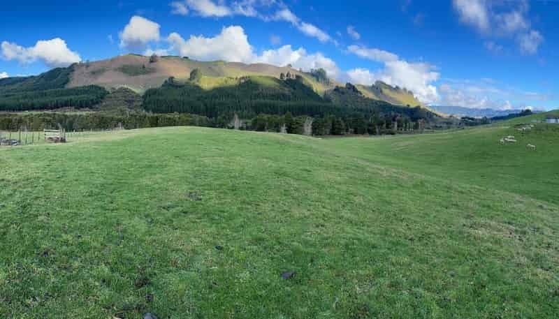 73 Dansey Road, Ngongotaha