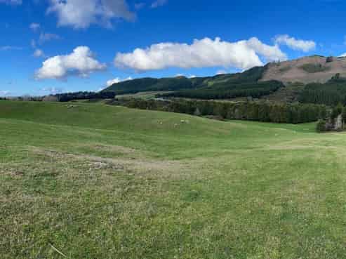 73 Dansey Road, Ngongotaha