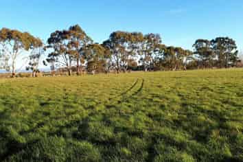 321 Devereux Road, Winton