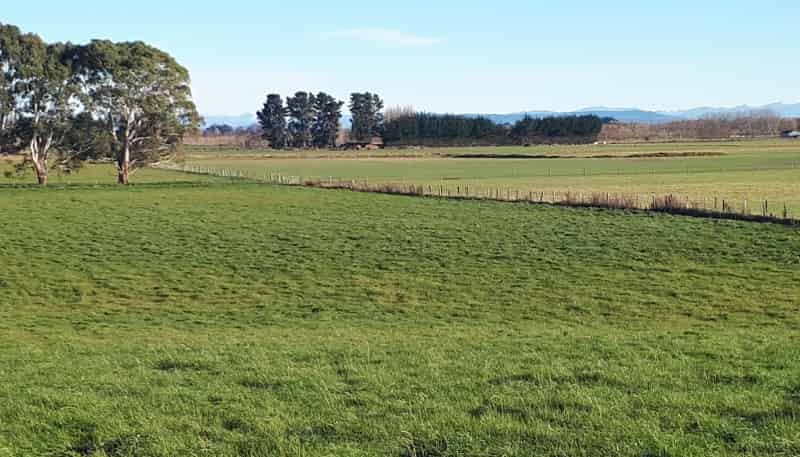 321 Devereux Road, Winton