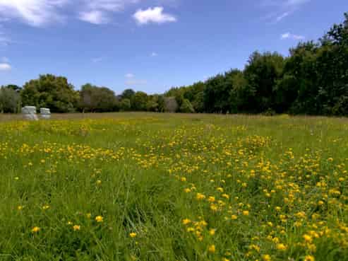 118 Potts Road, Whitford