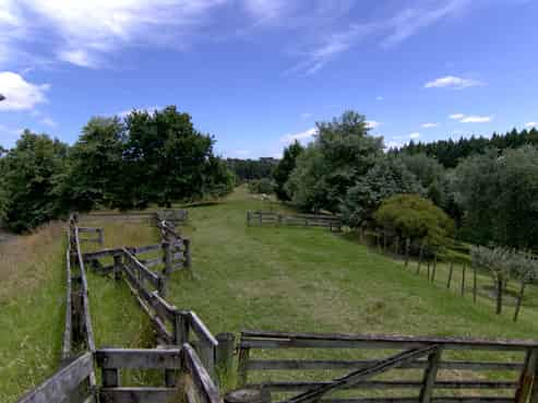 118 Potts Road, Whitford