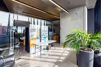 Natural Light Mount Eden